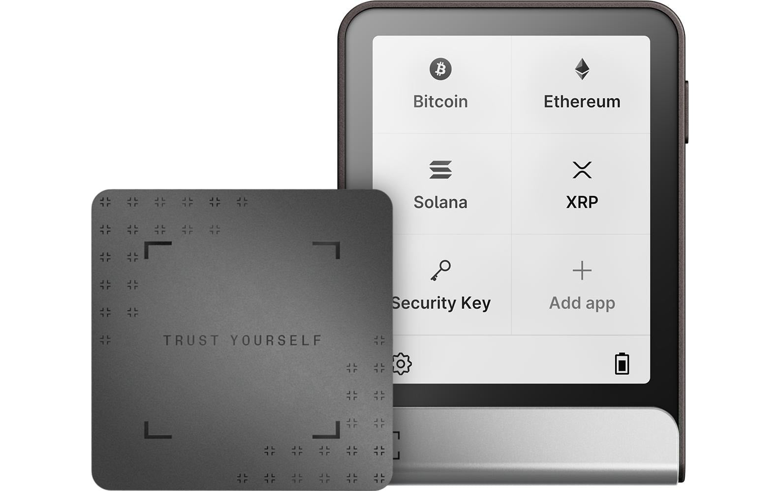 Ledger Flex Graphite