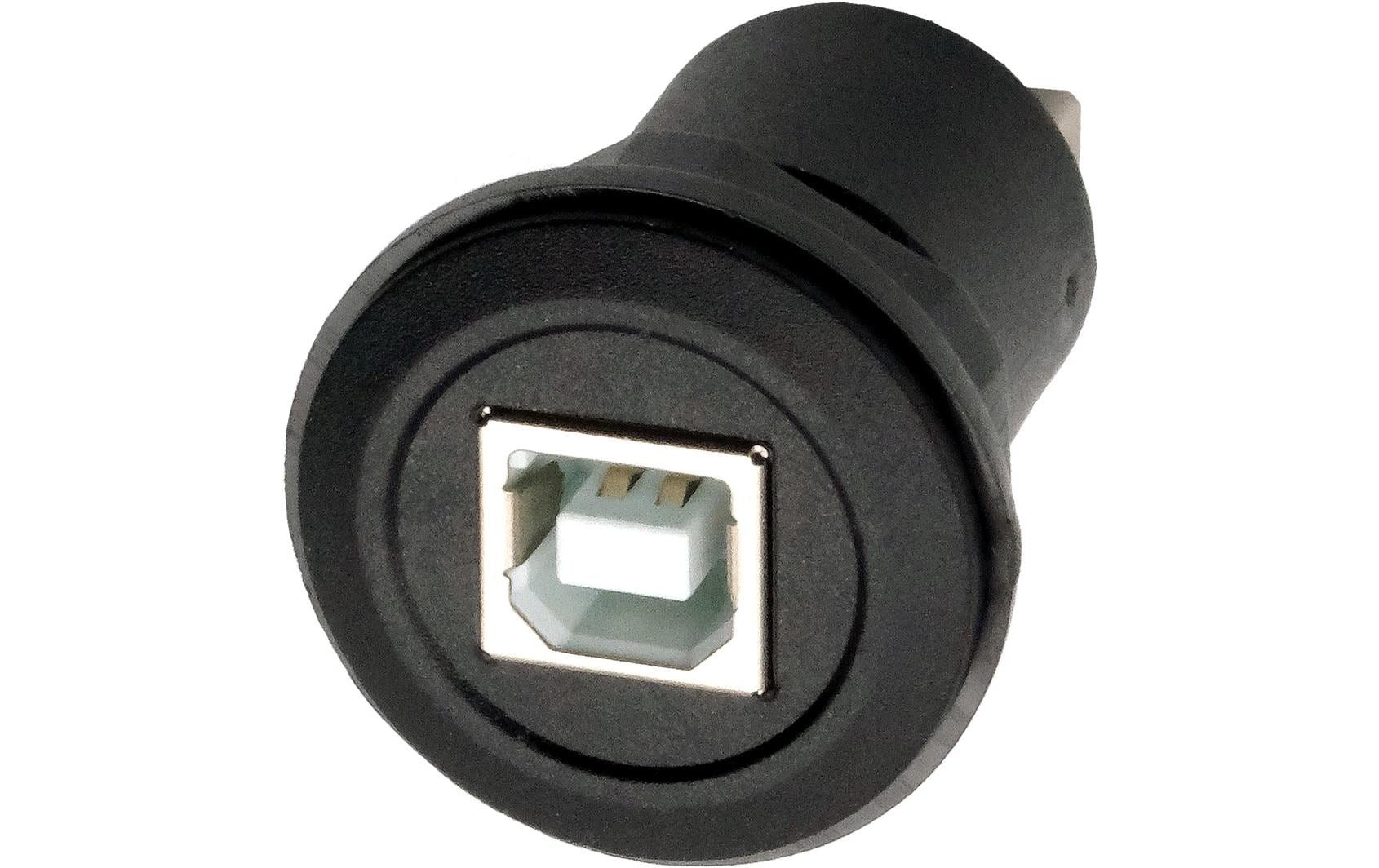 Exsys USB 2.0 Adapter USB-B Buchse - USB-A Buchse
