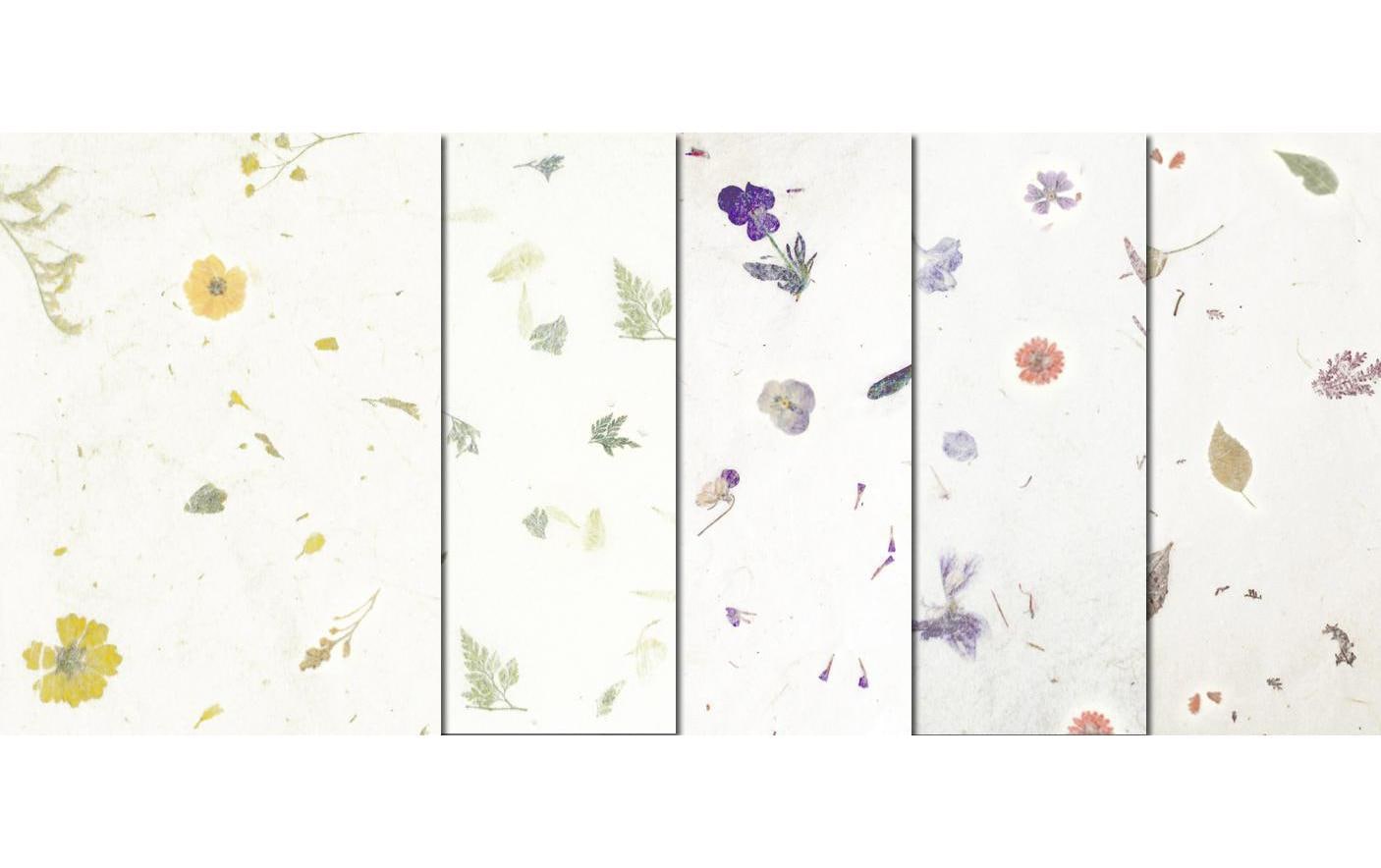 URSUS Bastelpapier Botanica 23 x 33 cm, 35 g/m², 5 Blatt
