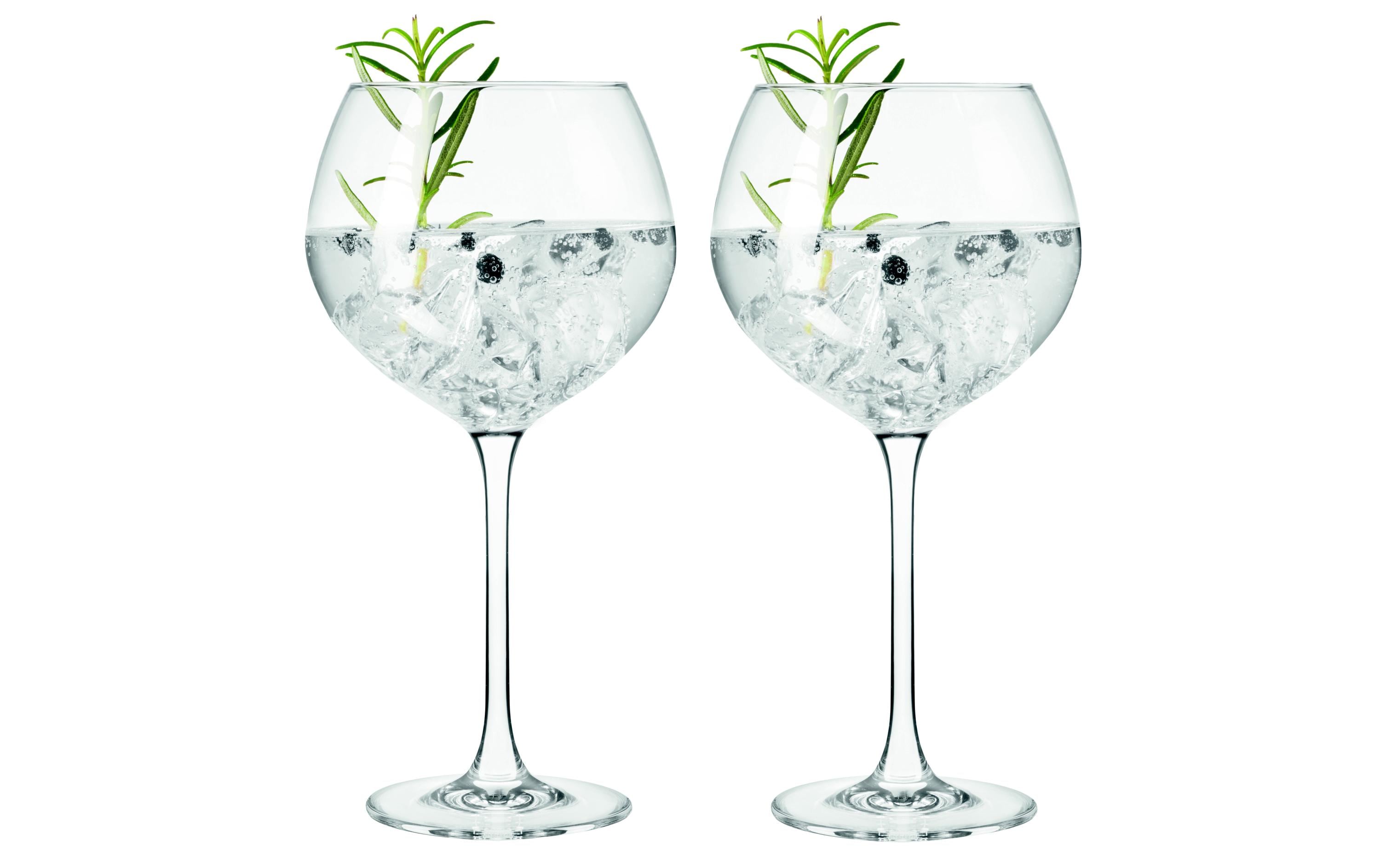 Leonardo Gin Glas Gin 630 ml, 2 Stück, Transparent