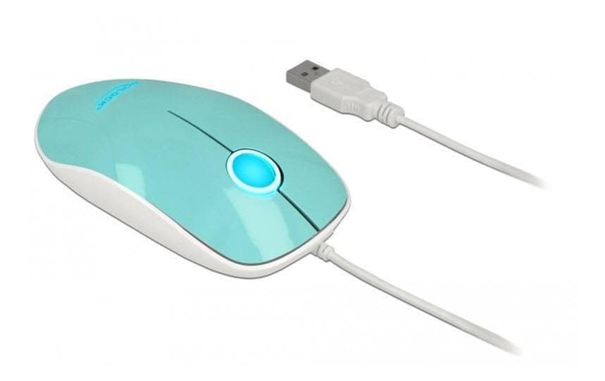 Delock Maus 12538 USB-Typ-A LED  türkis