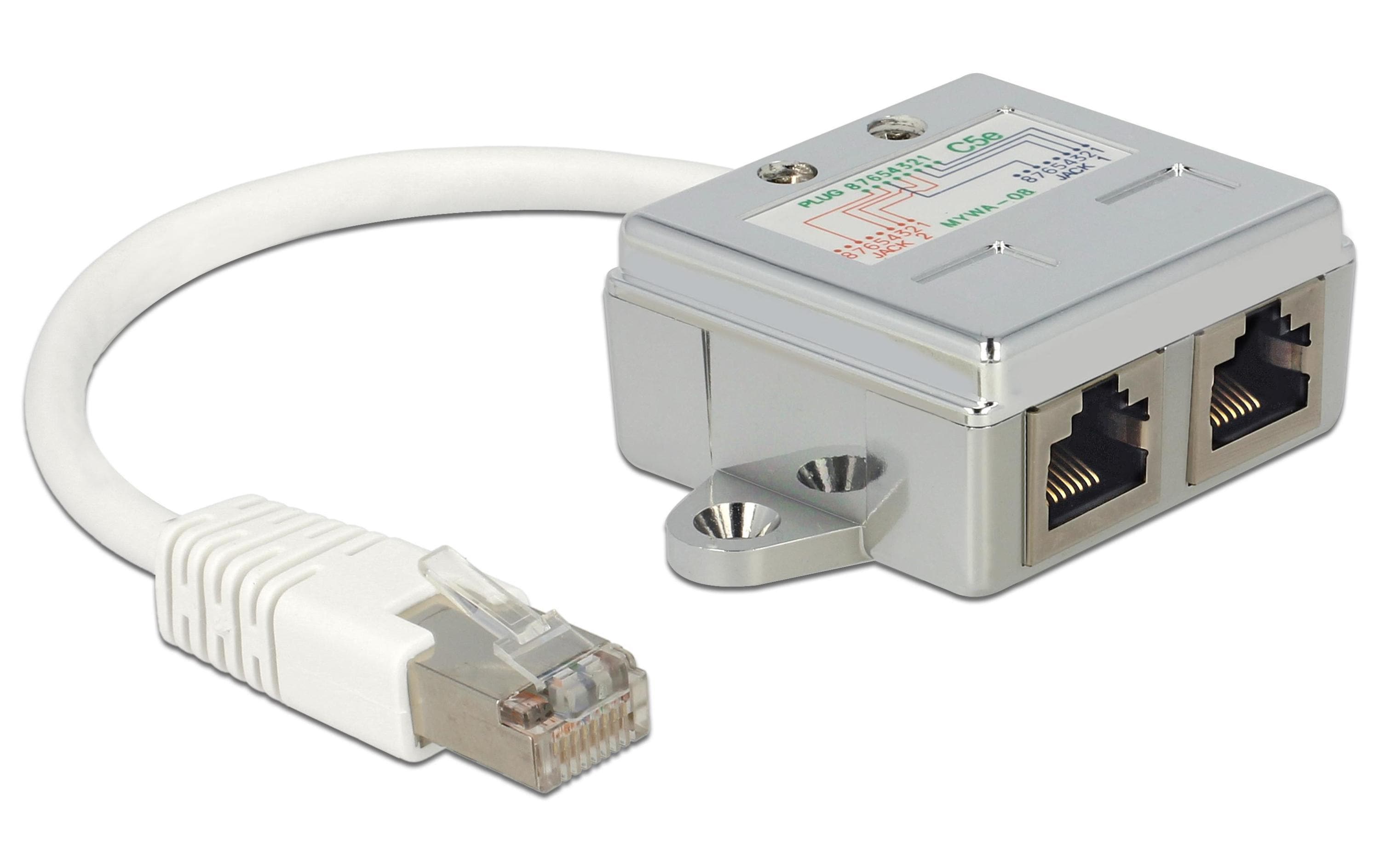 Delock Anschlussverdoppler 2x 100Mbps LAN 1 Stück