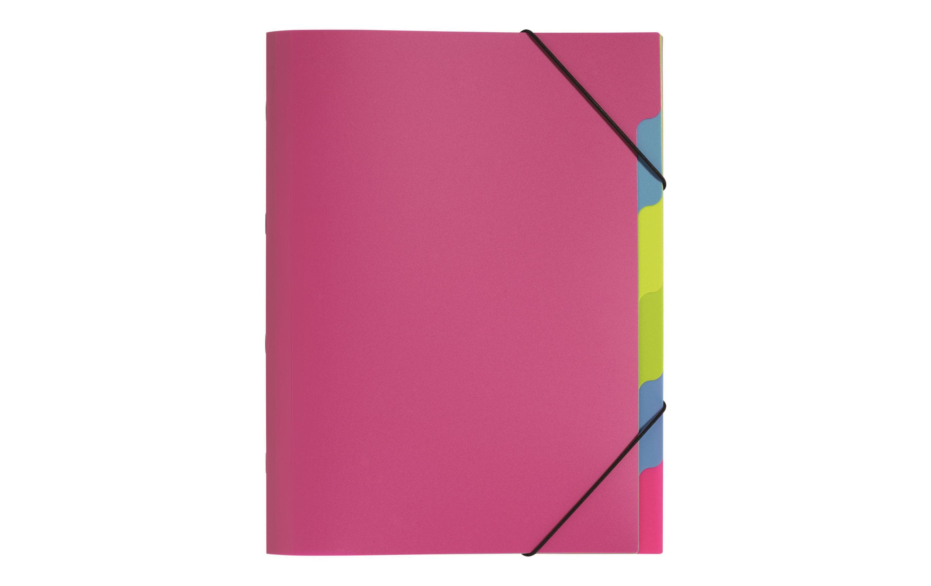 Pagna Ordnungsmappe A4 Funky School Pink