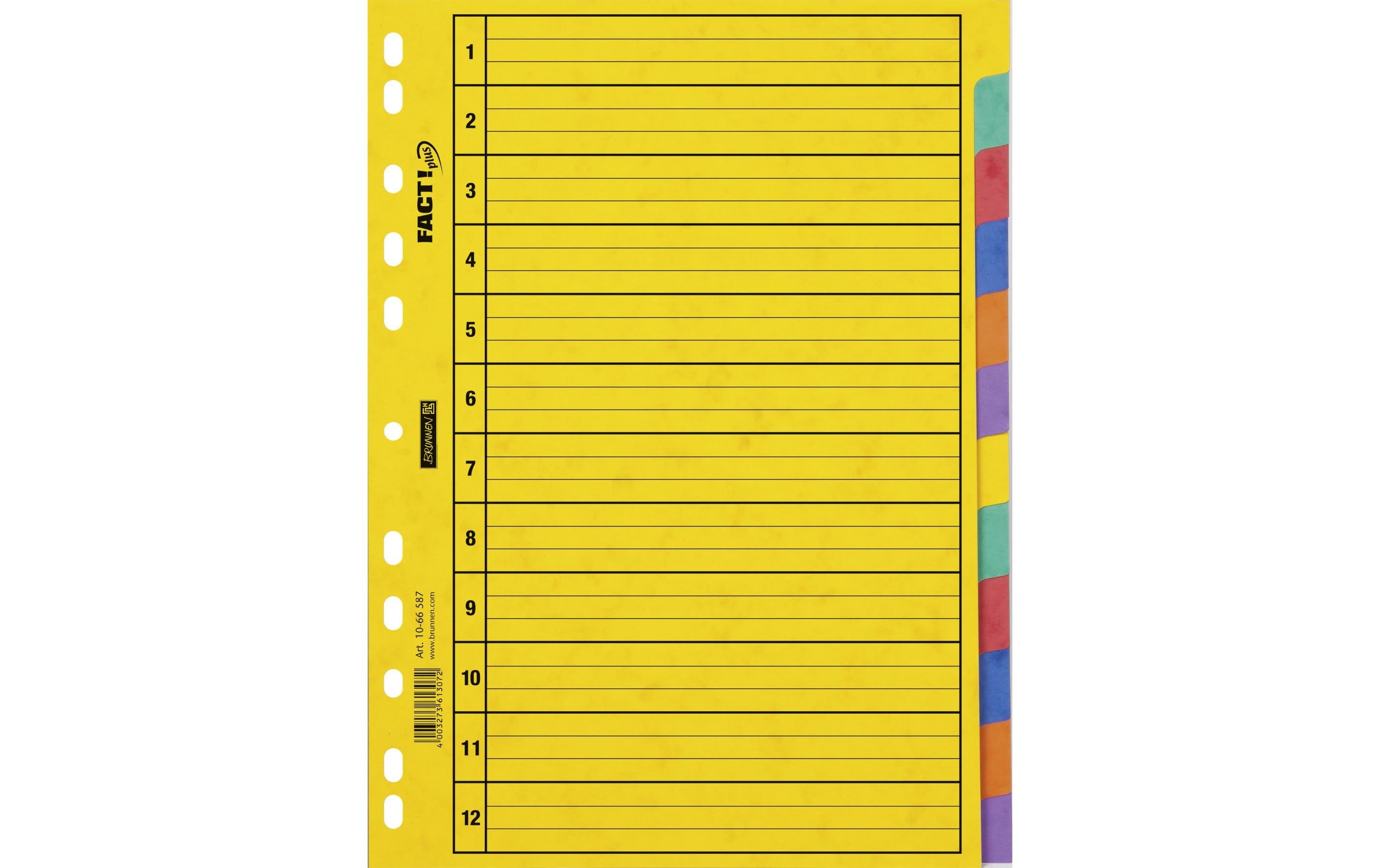 Brunnen Register A4 Fact Plus 1-12